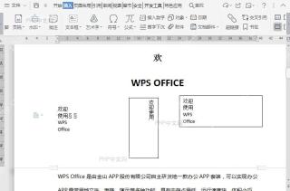 WPS插入特殊字符结果检查