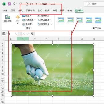 Excel 图片裁剪完成后在工作表中检查保留区域和比例