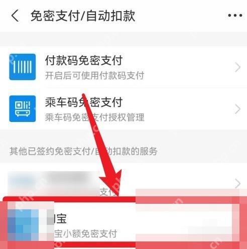 在已开通服务里点开“淘宝小额免密支付”或你要关闭的那个项目。