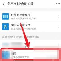在已开通服务里点开“淘宝小额免密支付”或你要关闭的那个项目。
