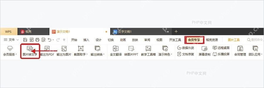 WPS文字图片工具中图片转文字按钮用于启动OCR