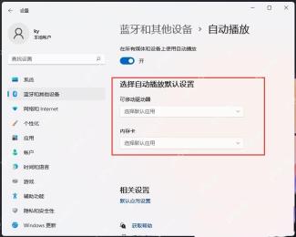 Win11 自动播放页查看总开关和可移动驱动器默认值