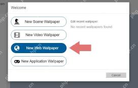 Wallpaper Engine Wallpaper Editor 欢迎窗口高亮 New Web Wallpaper