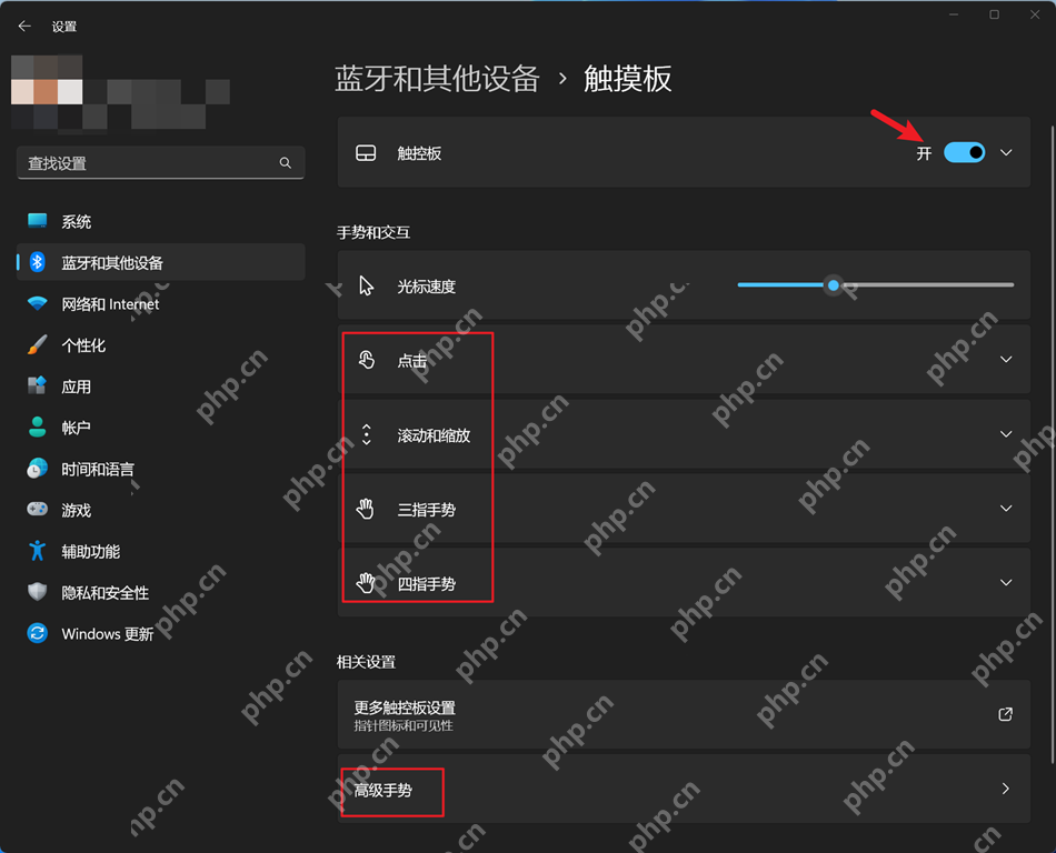 Win11 触摸板设置页里显示点击分组入口