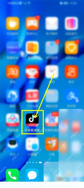 抖音极速版怎么查看提现到账记录