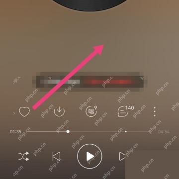 网易云音乐app歌词不同步怎么调整