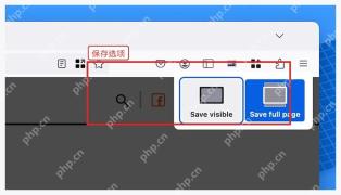 火狐浏览器截图工具中的 Save visible 和 Save full page 按钮