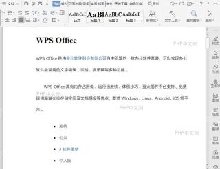 WPS如何自定义目录?入口位置