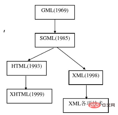 XML出生.jpg