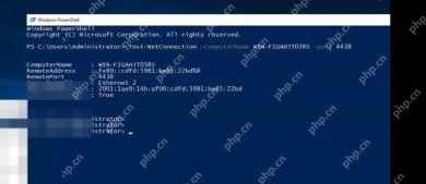 Windows 11 先确认服务端口能建立连接的真实界面截图