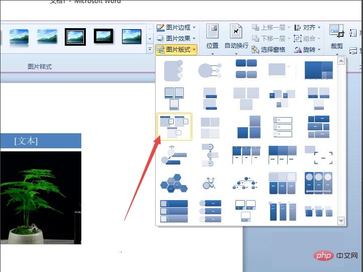 Was ist das Standardlayout zum Einfügen von Bildern in Word?