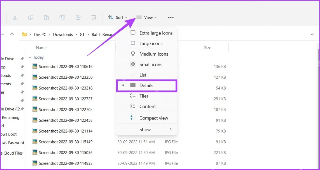Win11怎么自定义资源管理器详细信息列:点击 Details 详细信息视图