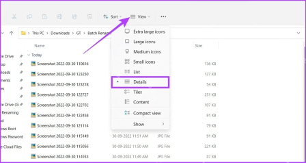 Win11怎么自定义资源管理器详细信息列:点击 Details 详细信息视图