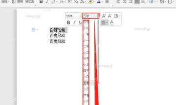 WPS字号下拉列表中查看中文字号和数字磅值