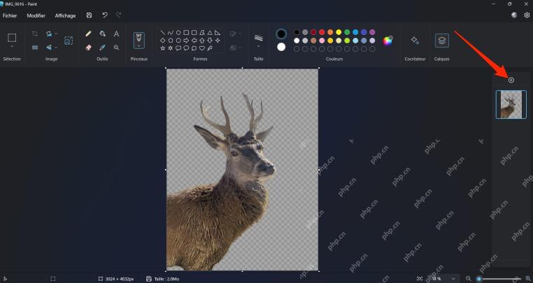 Windows 11 画图去除图片背景后显示透明棋盘格