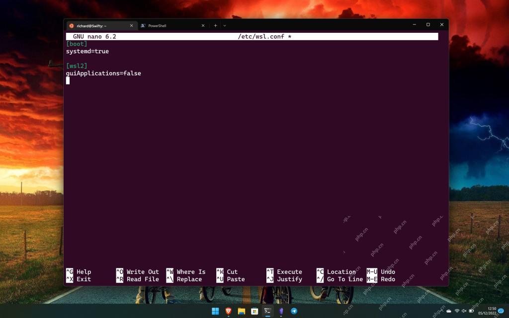nano 中显示 boot 区段的 systemd true 配置