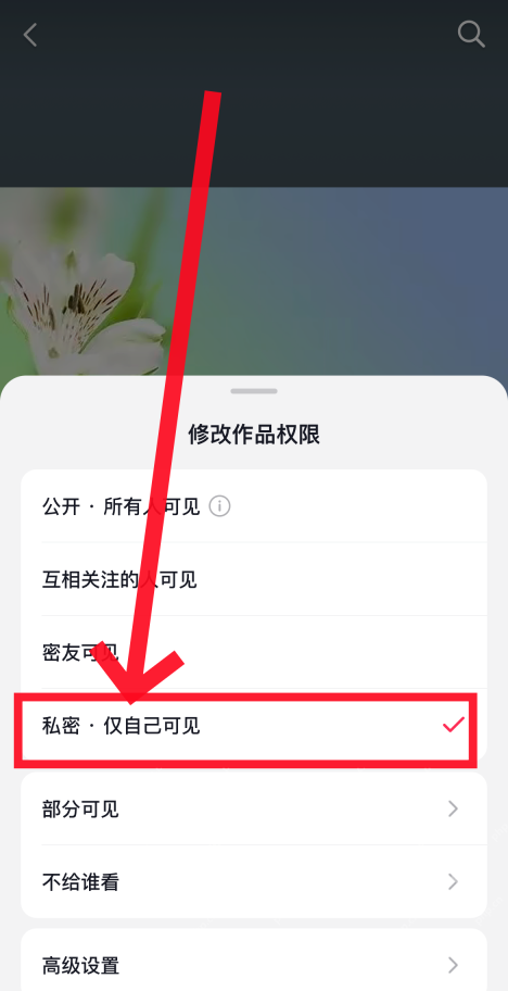 抖音修改作品权限页面勾选私密仅自己可见