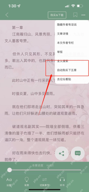 晋江小说阅读 App 菜单里的自动购买下五章选项，证明可开启后续五章连续购买