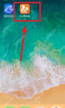 UC浏览器怎么开启网页翻译功能