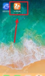 UC浏览器怎么开启网页翻译功能:手机桌面上选中 UC 浏览器图标