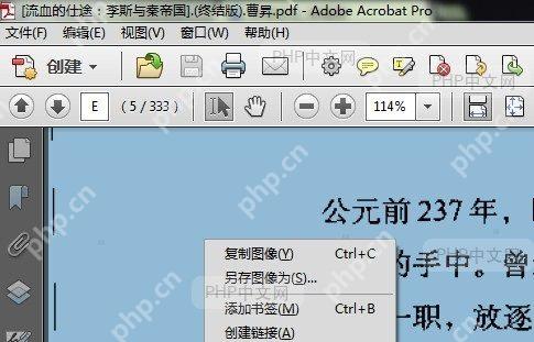 PDF阅读器主界面显示已打开的PDF文档,工具栏可见