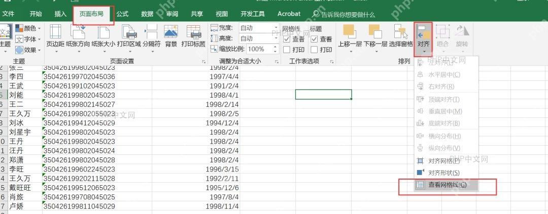 Excel页面布局选项卡选中状态