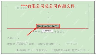 WPS 红头文件中填写发文字号并对齐到红线附近