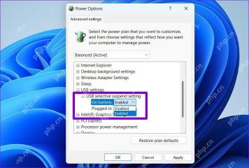 Win11高级电源设置中展开USB selective suspend setting