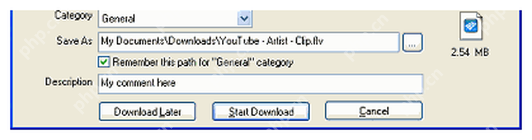 IDM 下载信息窗口底部显示 Download later 和 Start Download,对应生成下载任务。