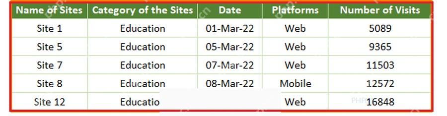 Excel 粘贴后的筛选结果表格,用于第四步确认只复制了可见数据