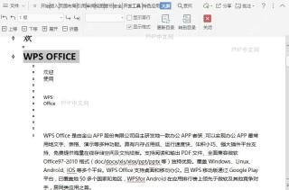 WPS在文档大纲视图中如何提升项目级别?结果检查