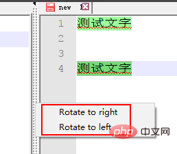 How to use the multi-view (split screen) function of notepad++