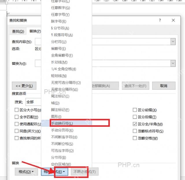Word 查找和替换窗口中特殊格式菜单选择手动分页符