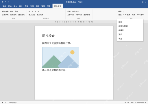 模拟 Microsoft Word 简体中文桌面版完整界面：被裁剪时，检查原图和裁剪范围