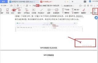 WPS PDF 页面签名区域已清空并准备保存