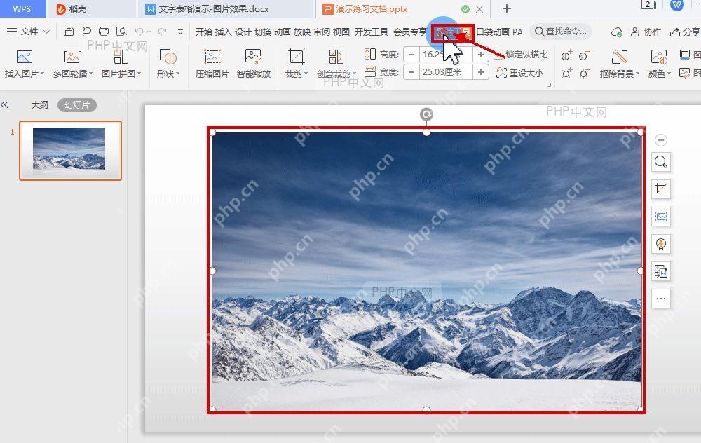 WPS 演示中选中幻灯片图片并显示图片工具选项卡