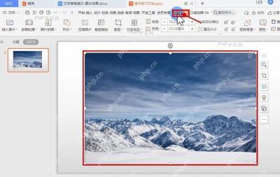 WPS 演示中选中幻灯片图片并显示图片工具选项卡