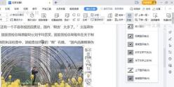 WPS文字顶部功能区,「页面布局」选项卡高亮,「背景」下拉按钮清晰可见