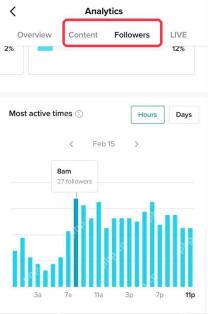 TikTok APP 粉丝活跃时间界面