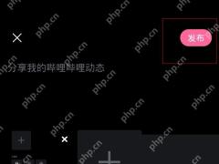 哔哩哔哩发布图文动态按钮