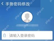 交管12123手势密码修改前验证登录密码