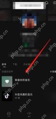 汽水音乐我的页进入我喜欢的歌单