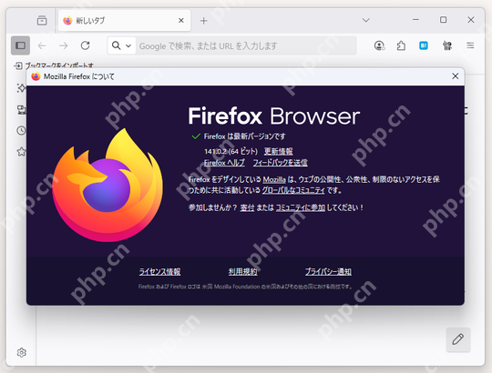 步骤1：打开关于Firefox查看本机版本真实操作界面