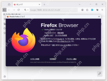 步骤1：打开关于Firefox查看本机版本真实操作界面