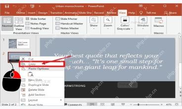 PowerPoint 选中内容后在开始选项卡使用复制按钮