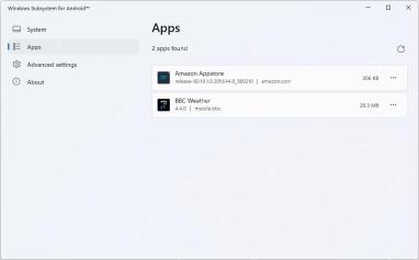 Windows 11 设置中的已安装应用列表