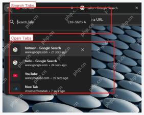 Chrome Search Tabs 面板中的已打开标签页列表