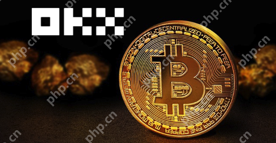 2025最安全交易所TOP5:黑U避坑指南,资金100%保命法则 - php中文网