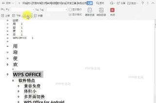 Word在文档大纲视图中如何展开所选项目?设置效果