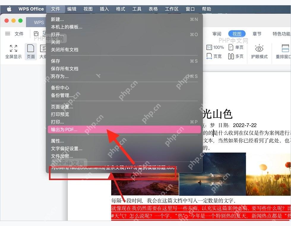 WPS 文件菜单中的输出为 PDF 选项,用于进入 PDF 导出窗口